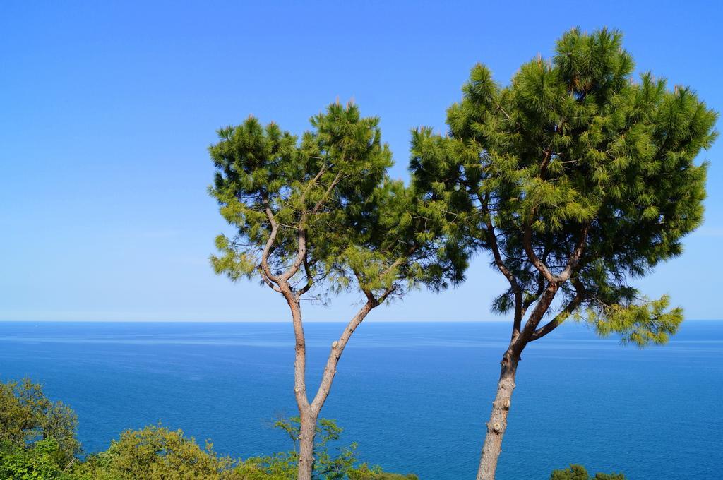 Bed and breakfast Sea View Di Amedeo