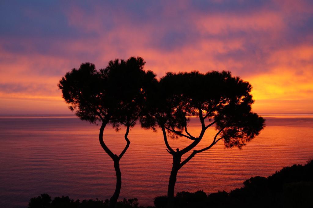 Sea View Di Amedeo * Sirolo